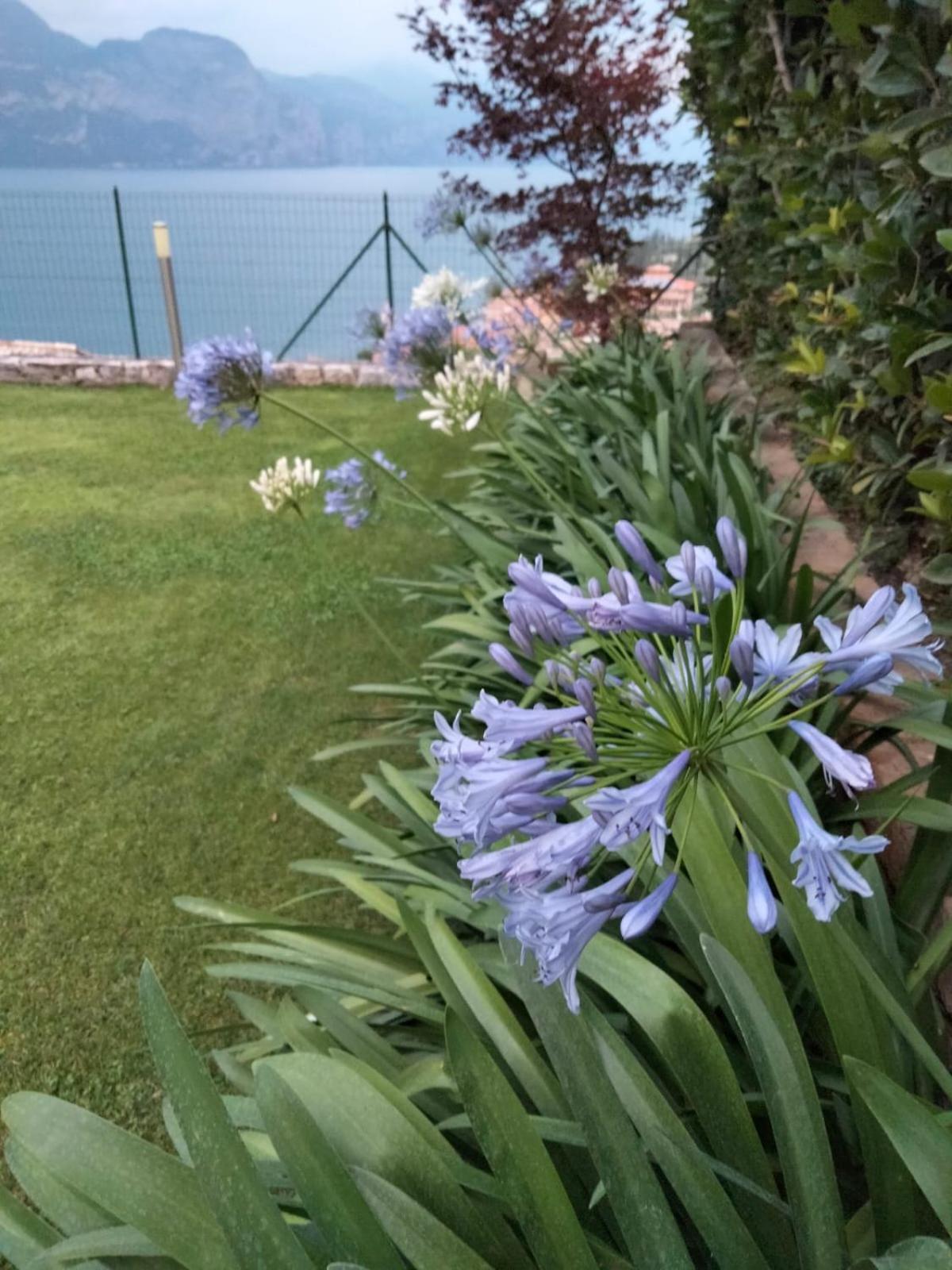 Appartamento Anna Brenzone sul Garda Dış mekan fotoğraf