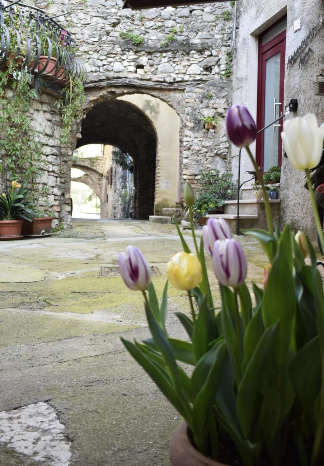 Appartamento Anna Brenzone sul Garda Dış mekan fotoğraf